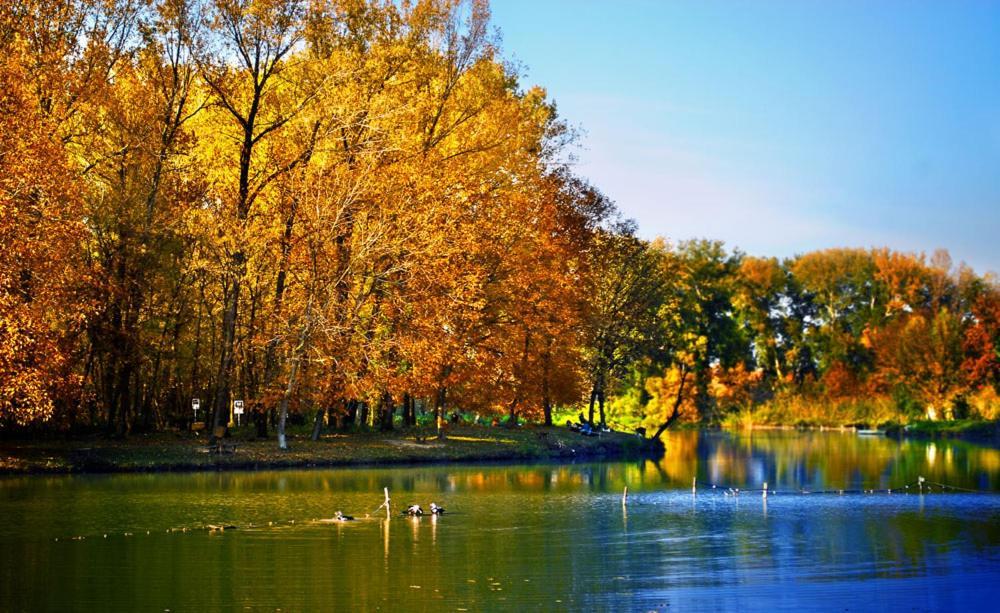 Monia Dream Apartment - Belgrade Lake & Fair Exteriér fotografie